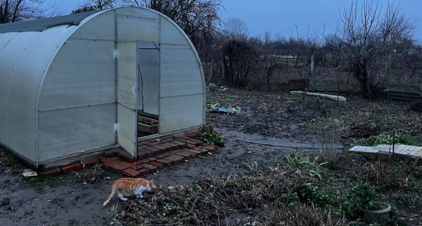 С 8 мая теплицы под запретом: россияне узнали о важном решении, у кого есть дача или участок - новые штрафы С 8 мая теплицы под запретом: россияне узнали о важном решении, у кого есть дача или участок - новые штрафы