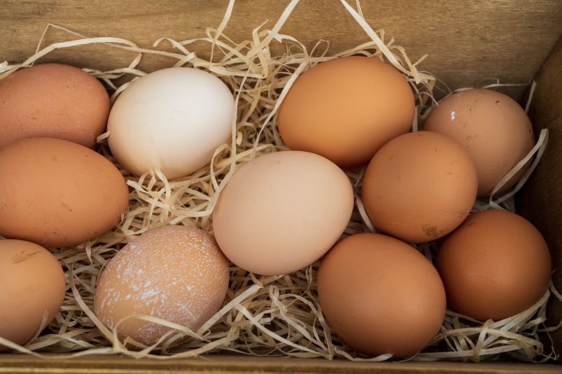 Белые против коричневых: какие яйца выигрывают по вкусу и пользе — берем на Пасху