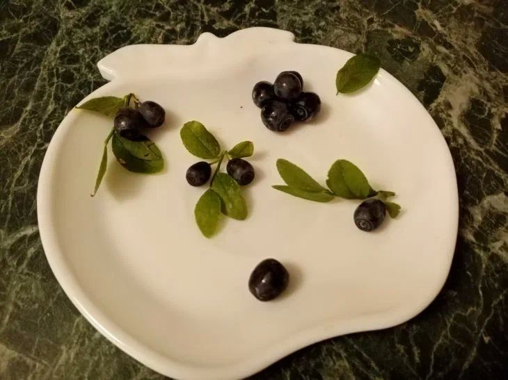 Как отмыть тарелки от жирных пятен и налета, чтобы сияли: лучшие народные методы