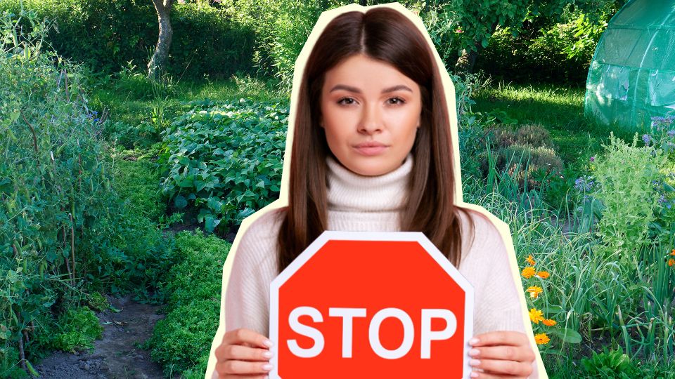 Дача превратится в помойку: никогда не используйте эту популярную вещь как мульчу