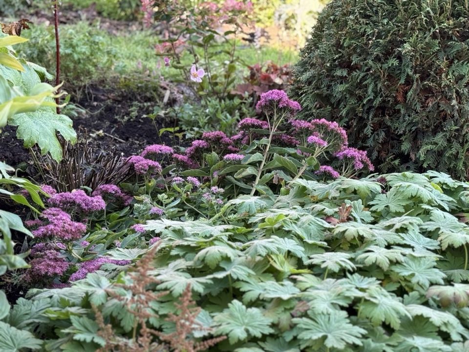 ����� ����������� �������� ����� �������� �� ����