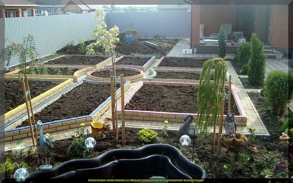 Как грамотно спланировать свой сад и огород: секреты успешного дачника