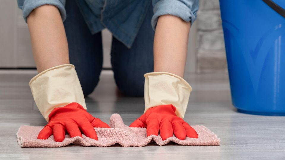 ������ ����� ����� ��� �����������: ������ ���������� ������ ����