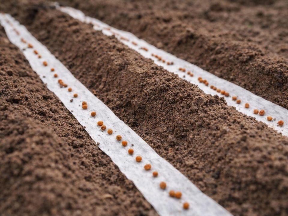 ��� ��������� ������� ������� � ������� �������� �������