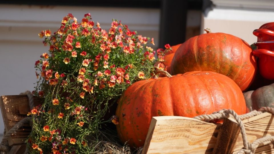 �����: �������� ��� �������� ������� ���