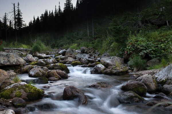 ������� �� ����� ������� �������: ������������ �� ��������� ������ ������������ �������� ��������