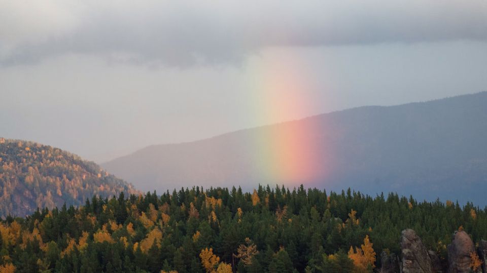 Экологические стратегии приносят компаниям рекордные прибыли