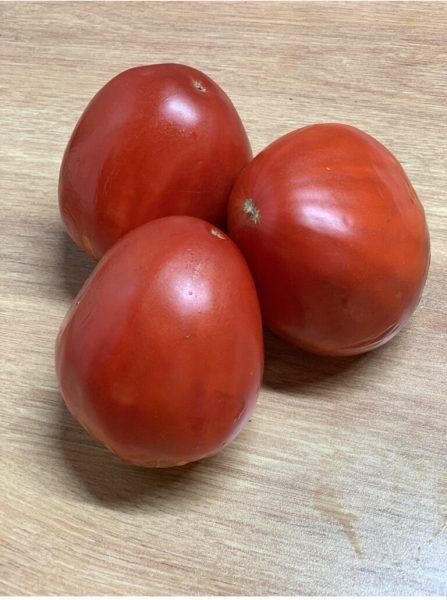 ����� ����������: ����� � ����������� ������� ��� ������ �������