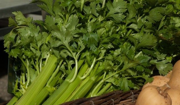 ��� ��������� ��������� ��� ����: �������, ����������, ��������