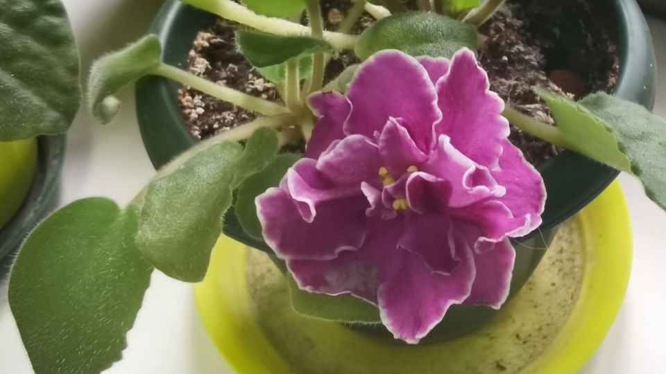 ��� �������� ������ ������ ����� ��������� ������������ ���������