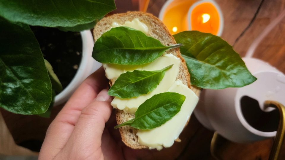 ������ ����������: ������� ����������� � ������ ������� ����������