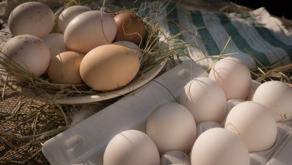 ����� ������ �� ������� ��� ���: 34 ������������ ��� ����� ������� ����