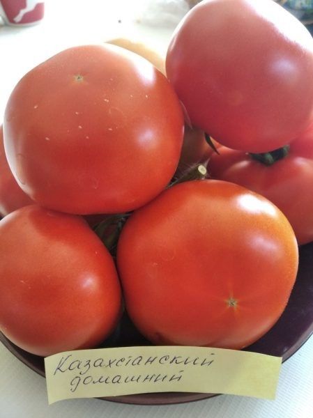 ����� ������������� ��������: ��������� ������ �� ������ � ������������� ����