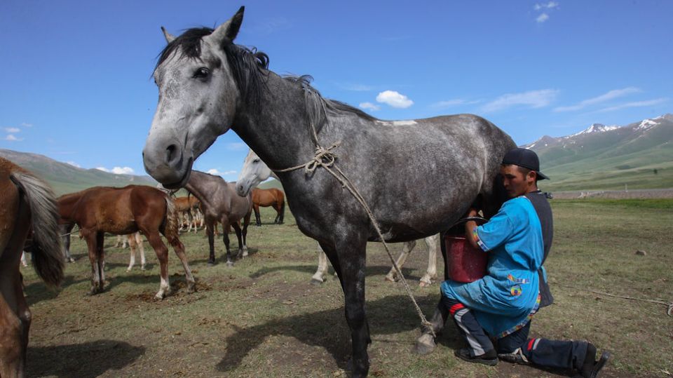 ������ ����� � ����� �������� ����������� ����� � � ��������������