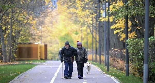Наблюдение о старших териториях: где в России живет больше всего пенсионеров