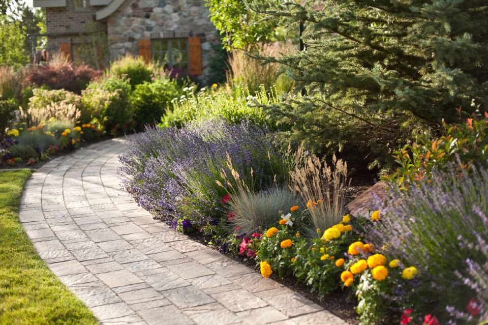 Что посадить вдоль садовых дорожек в условиях семейного сада