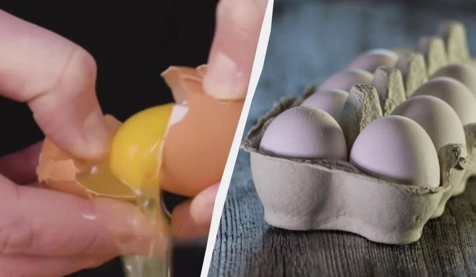 ��� ��������� ���� ��� ������� ������ � �����