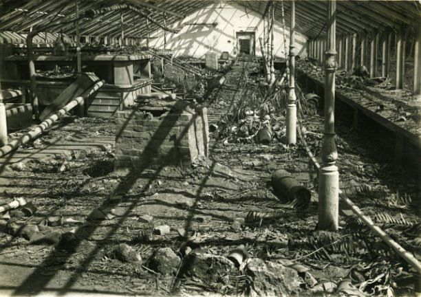 ������������ ��� ��� ������ �������: ��������� ���������� ������� � ����� �� ����������