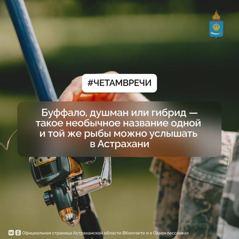   #,    -   