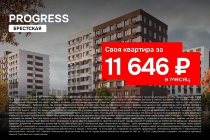   :            11 646 