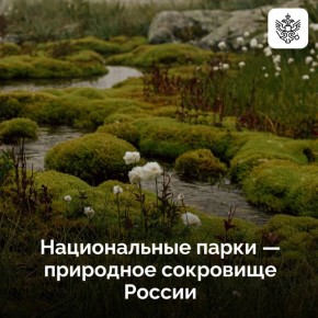  :    