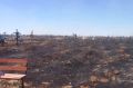 Власти Астрахани заявили, что во время пожара на местном кладбище не горели могилы участников СВО