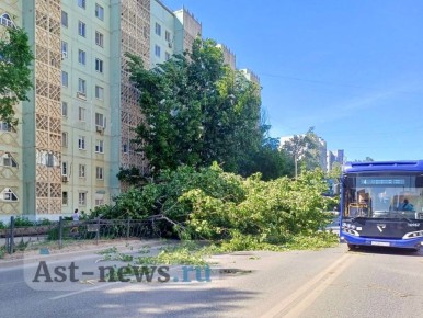             ,      AST-NEWS