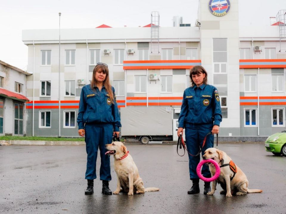 Сегодня поисковой кинологической службе МЧС России исполняется 29 лет