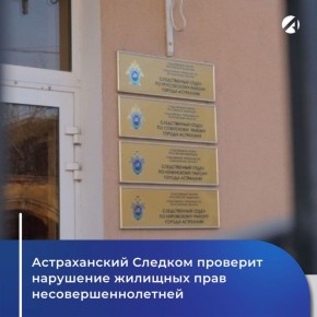 ,        2017 ,                 