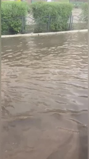    . -       ,           -   