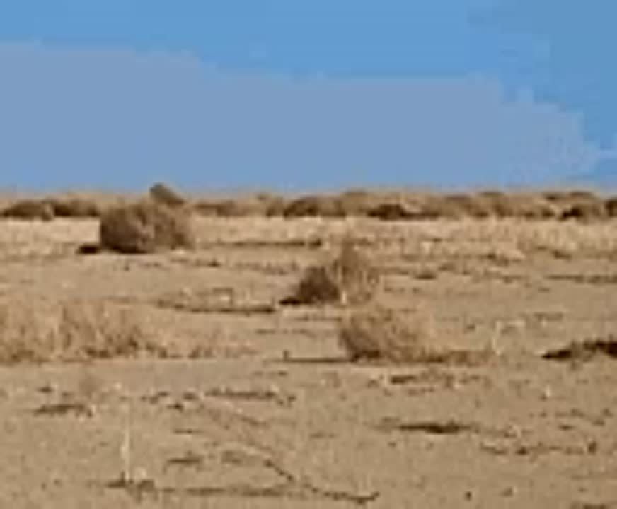  320        