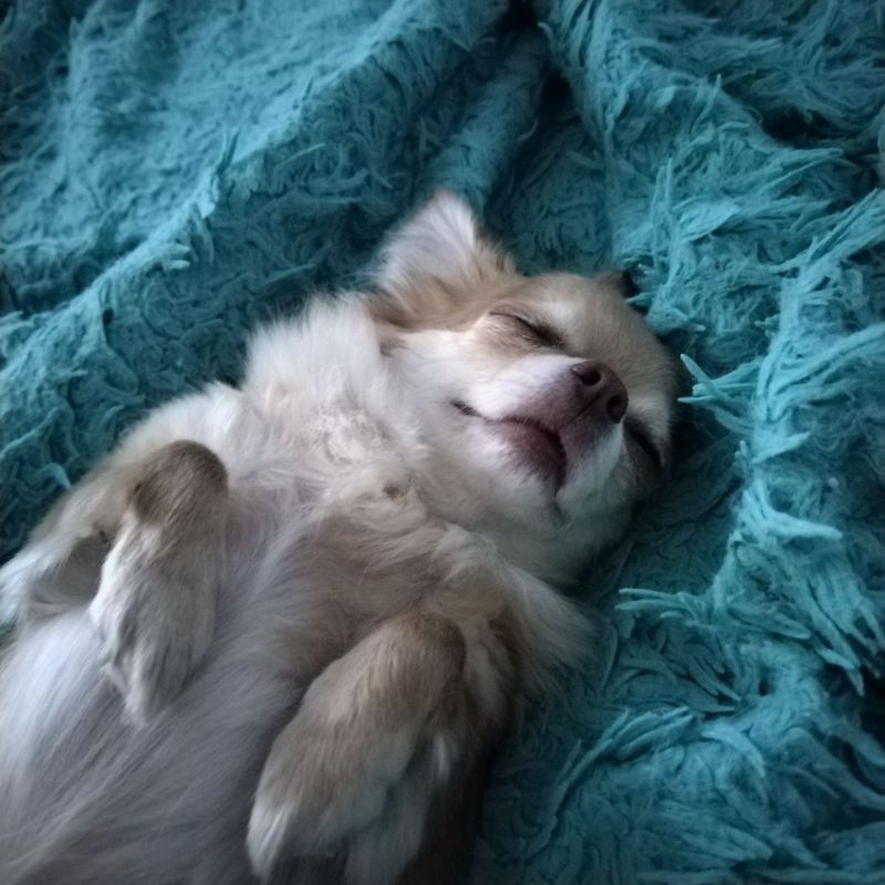  :  