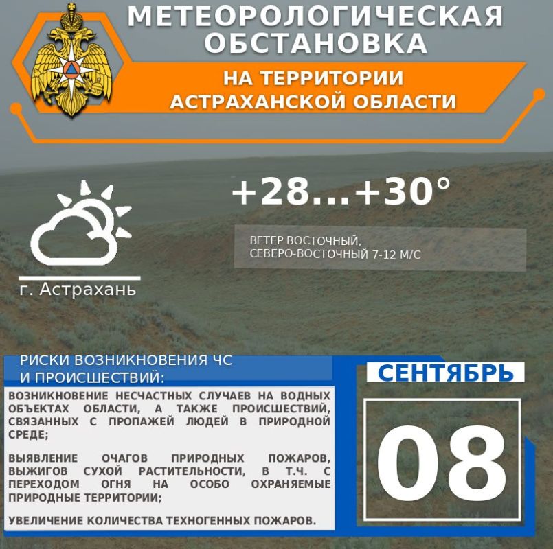    08 