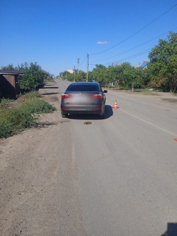    .   14.25  . .    41-     KIA  ,      