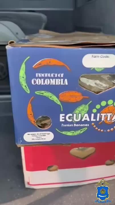        ,     7  