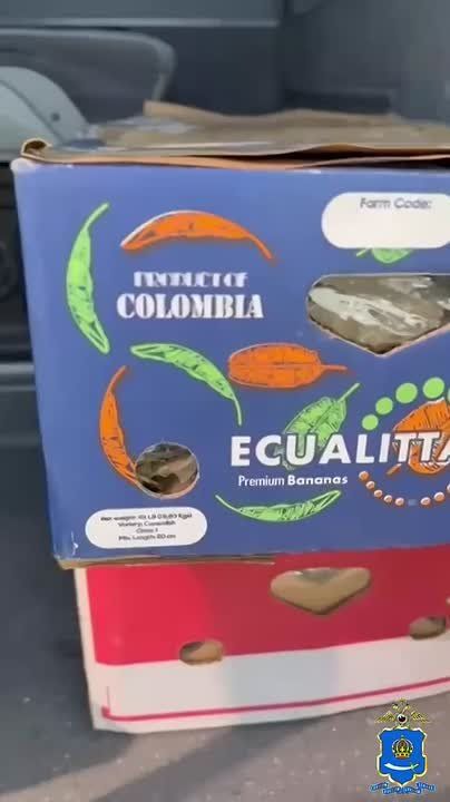        ,     7  