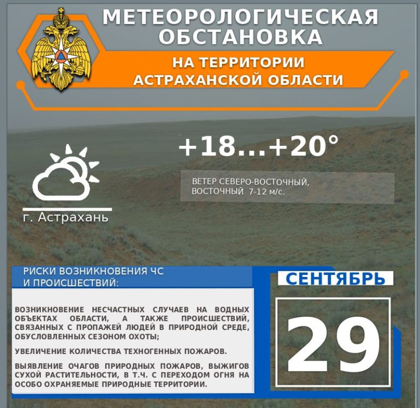    29 
