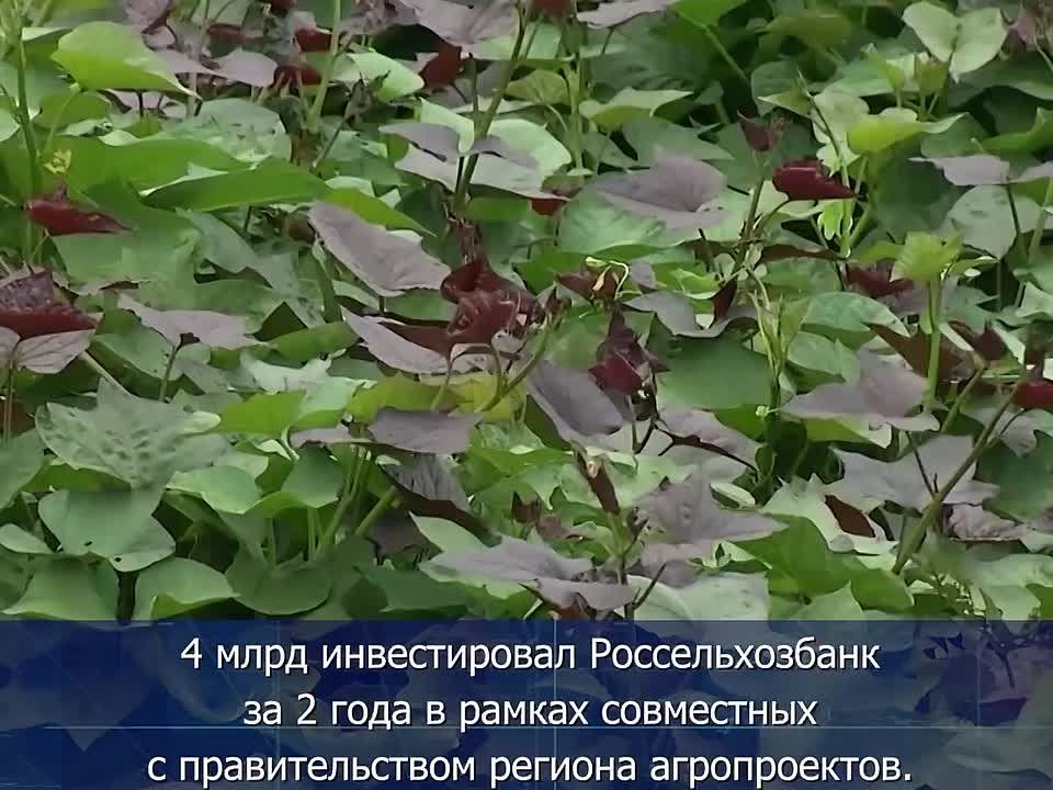  :  .                