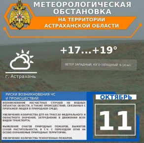    11 