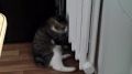  :     