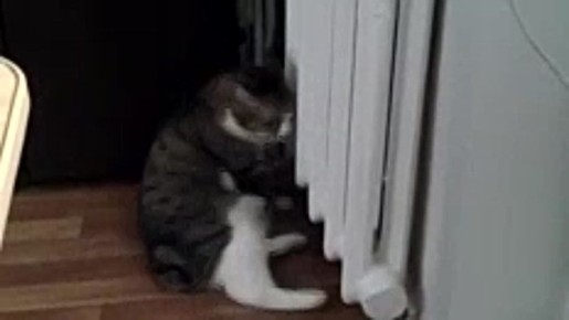  :     