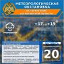    20 