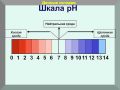 Кислотные почвы: оазис для кислолюбивых растений на вашем дачном участке