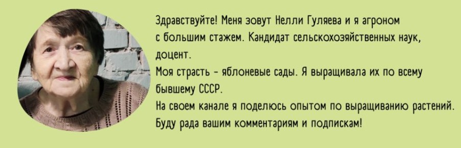 Секреты успешного выращивания помидоров