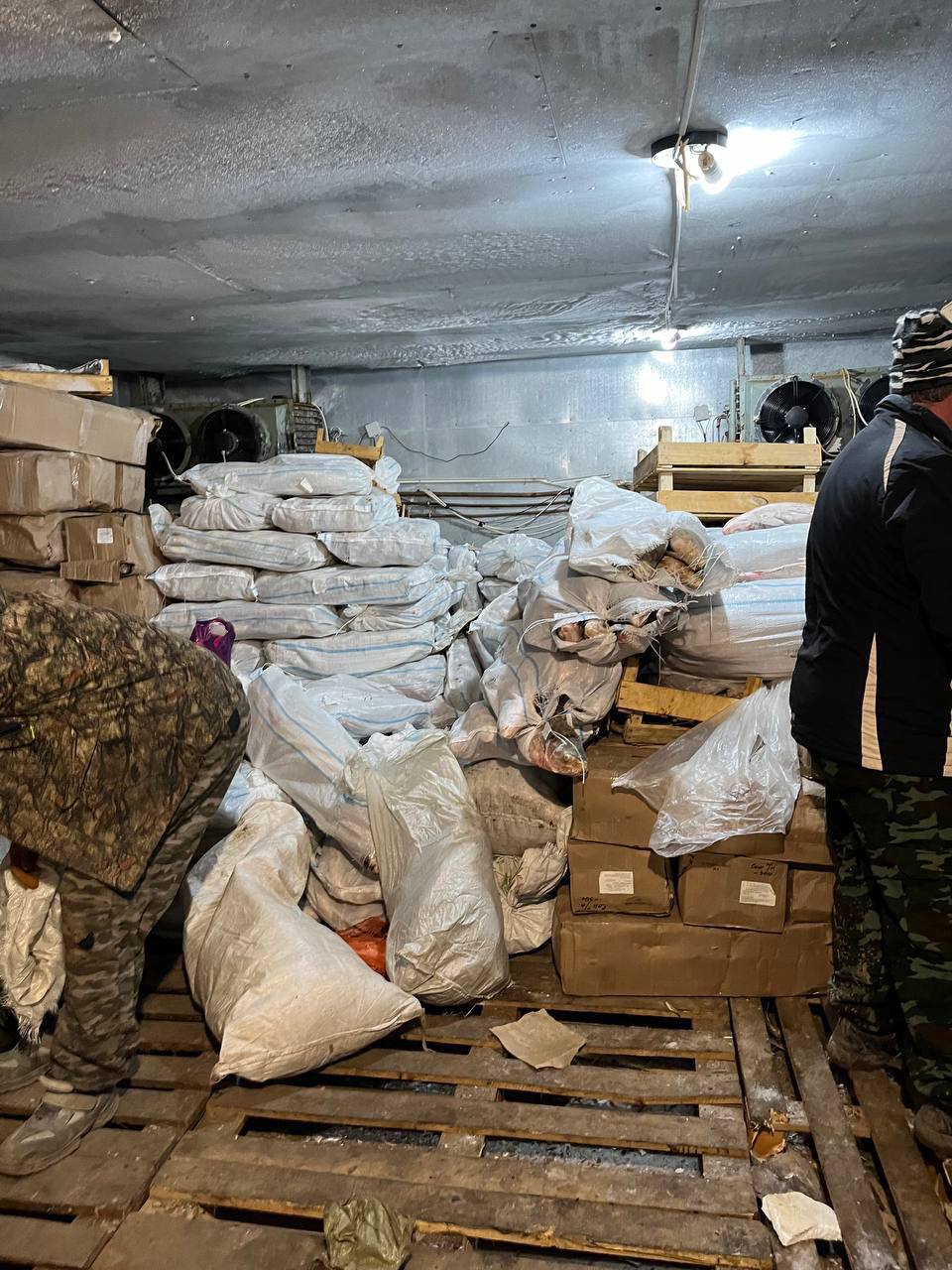 300 кг осетровых: подведены итоги операции «Путина» 300 кг осетровых: подведены итоги операции «Путина»