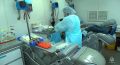 Люди, дарящие надежду.. Гуманизм и готовность поддержать ближнего остаются неизменными ценностями для сотрудников МЧС России. Сегодня 50 сотрудников областного МЧС сдали кровь для тех, кто в ней остро нуждается