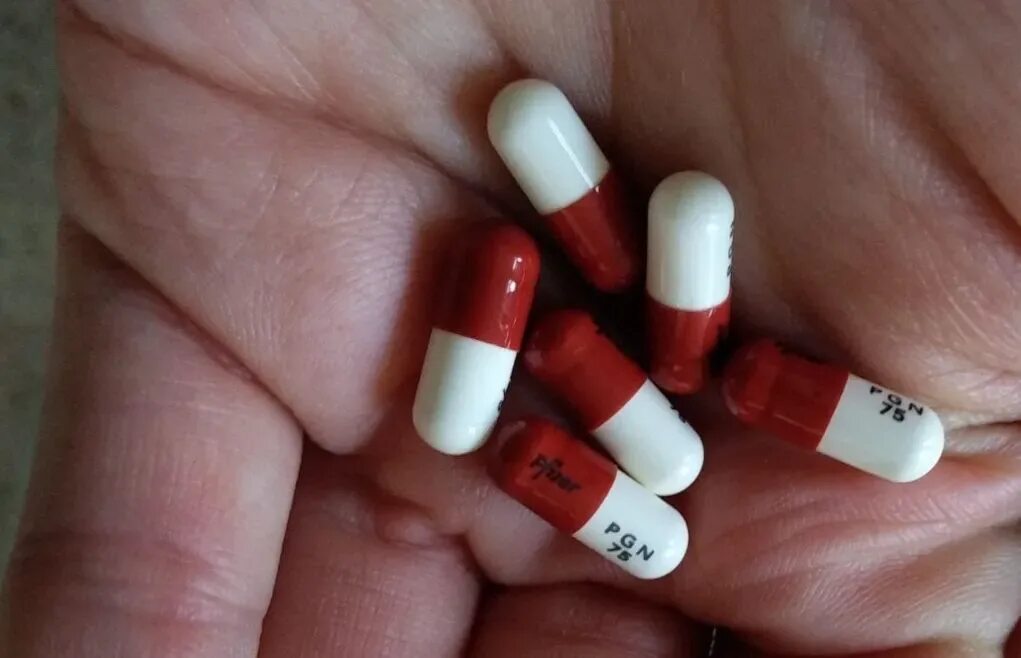 В Нальчике по итогам прокурорской проверки юридическое лицо прекратило эксплуатацию объекта железнодорожного транспорта В Нальчике по итогам прокурорской проверки юридическое лицо прекратило эксплуатацию объекта железнодорожного транспорта