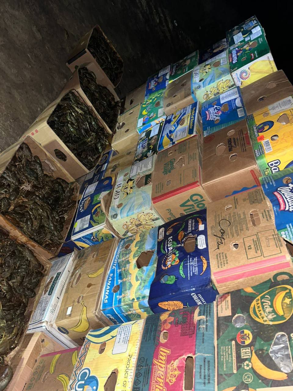 1,7 тонны раков без документов выявили у жителя Астрахани 1,7 тонны раков без документов выявили у жителя Астрахани