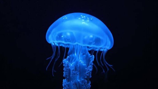 #приплыли. Россия, Астраханская область