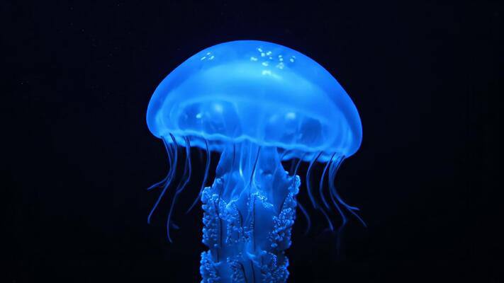 #приплыли. Россия, Астраханская область